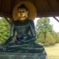Niềm Vui Chờ Đón Phật Ngọc – Phần 2
